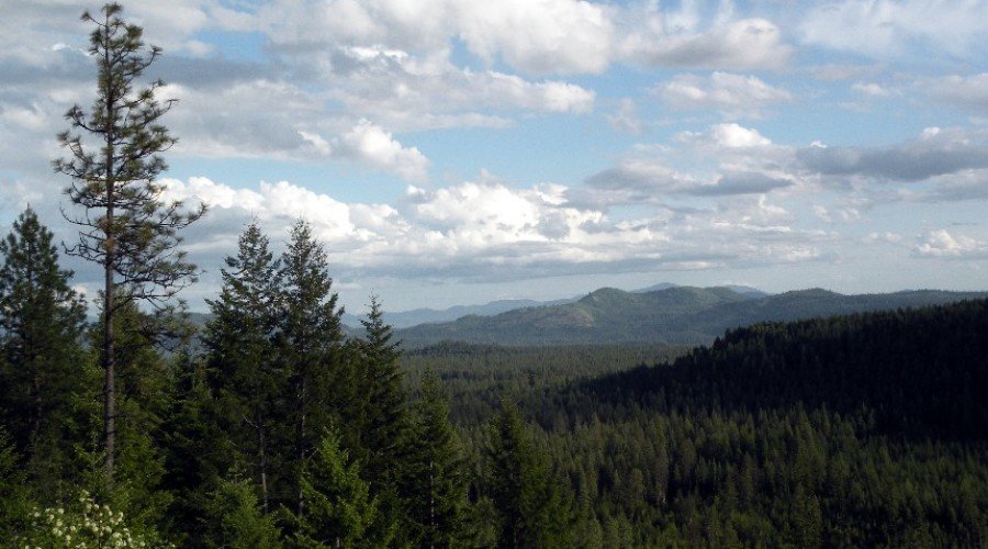 Eagle Mountain Garden – Spring Planting