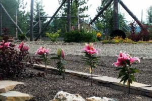 WoodStone Rock Garden – Pic Of The Day 6-26-2013