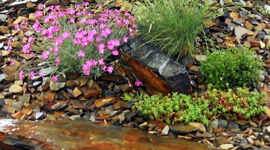 WoodStone Decorative Rock – Pic Of The Day 7-11-2013