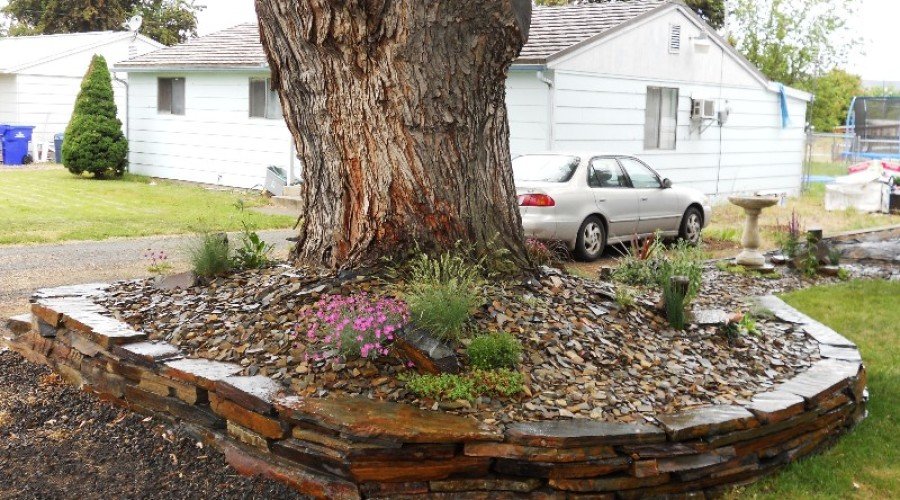 WoodStone Before and After Photos