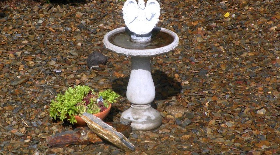 WoodStone Decorative Rock – Pic Of The Day 7-23–2013