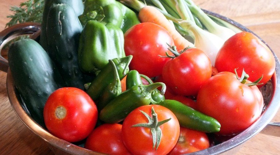 Eagle Mtn Garden – Loaded With Tomatoes!