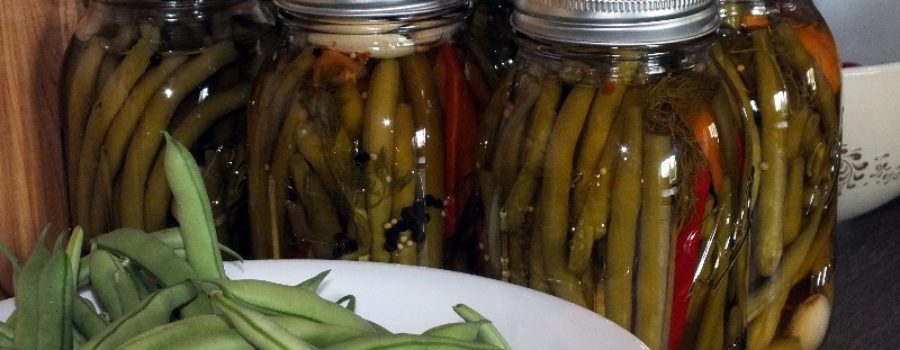 Eagle Mtn Garden – Delicious Pickled Beans!