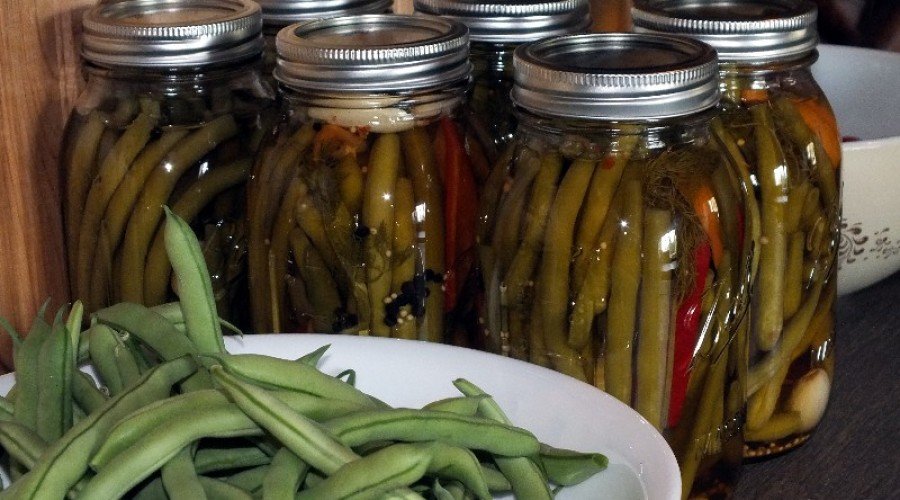 Eagle Mtn Garden – Delicious Pickled Beans!