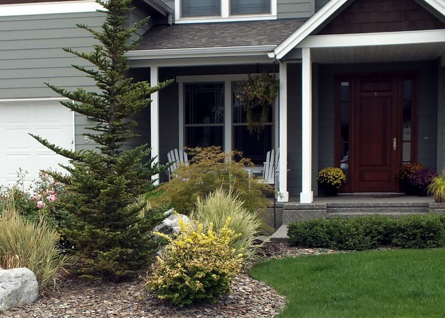 Waterwise Timber Pattern WaterWise Landscapes - WoodStoneRock